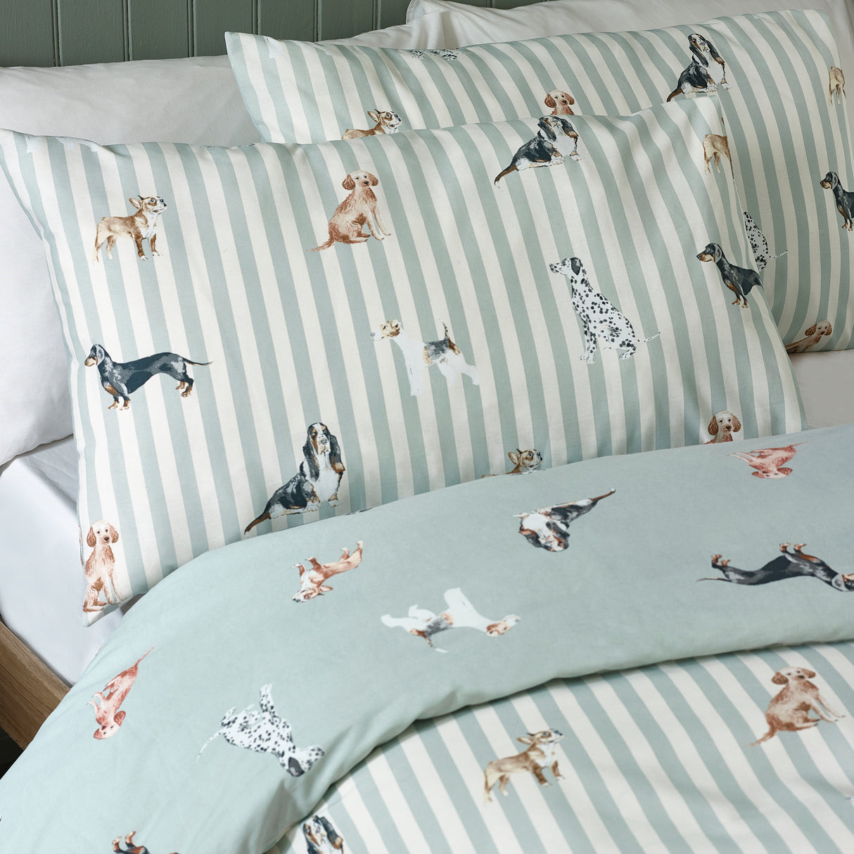 Catherine Lansfield Dog Stripe Green Duvet Set