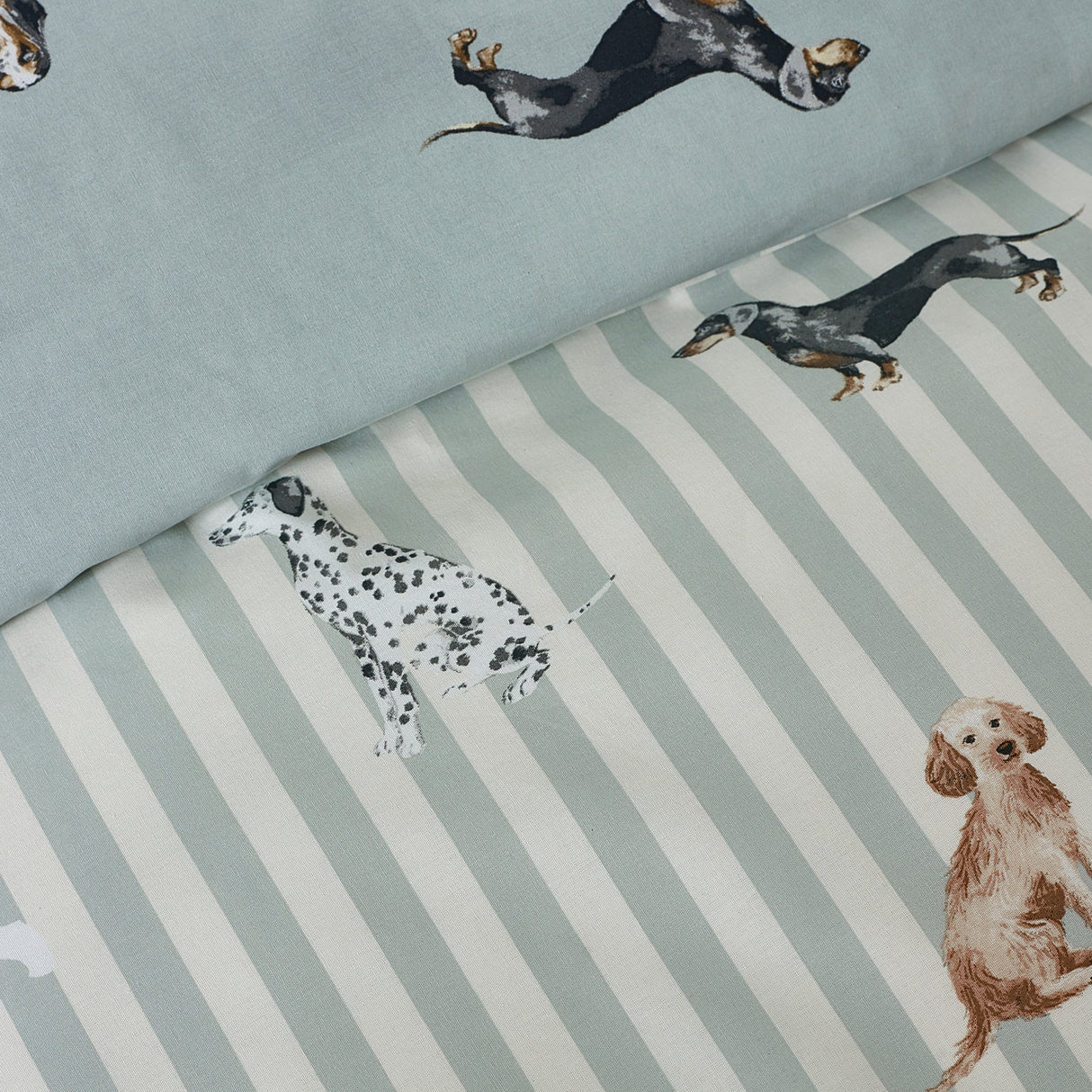 Catherine Lansfield Dog Stripe Green Duvet Set