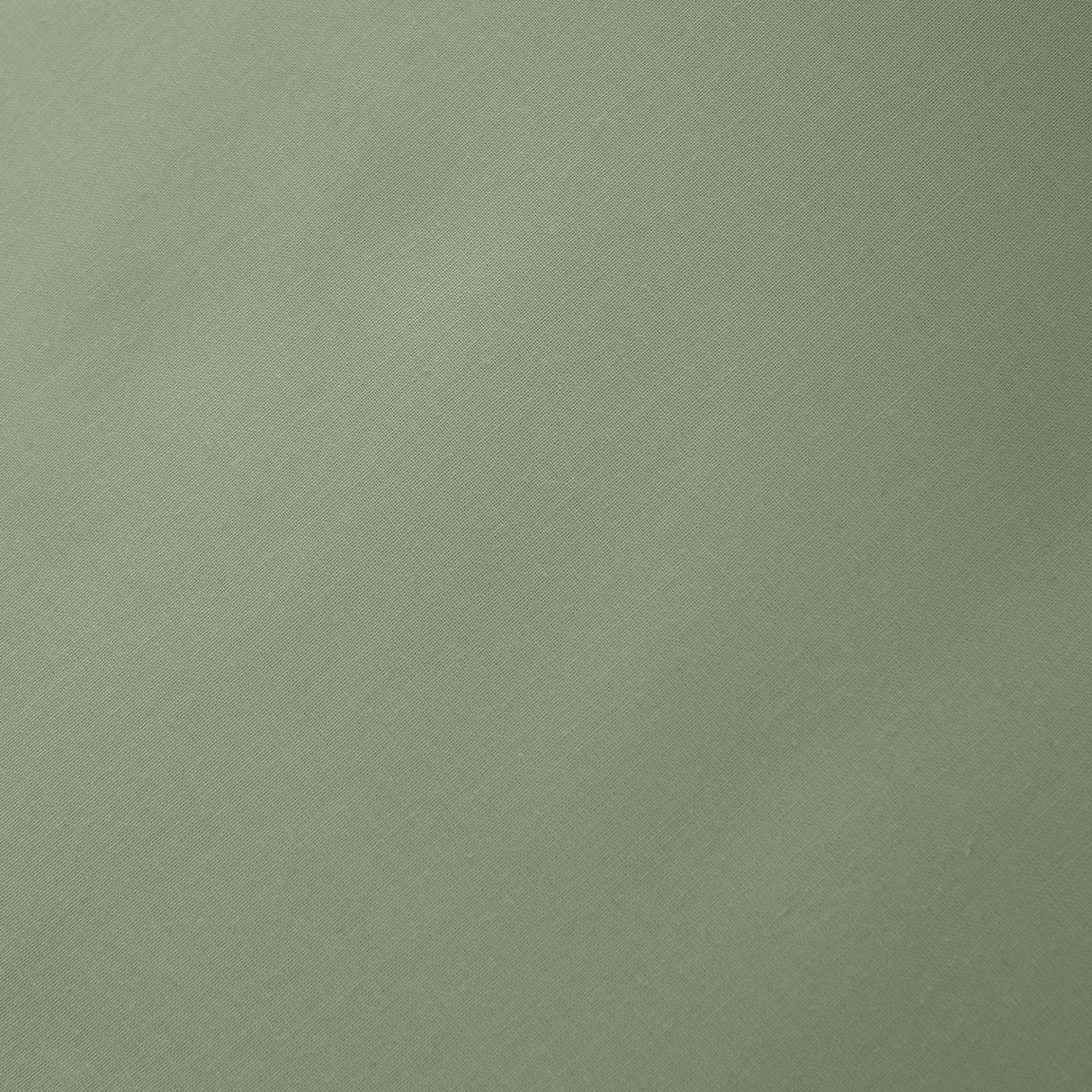 Bianca 200 Thread Count 100% Cotton Percale Sage Sheets