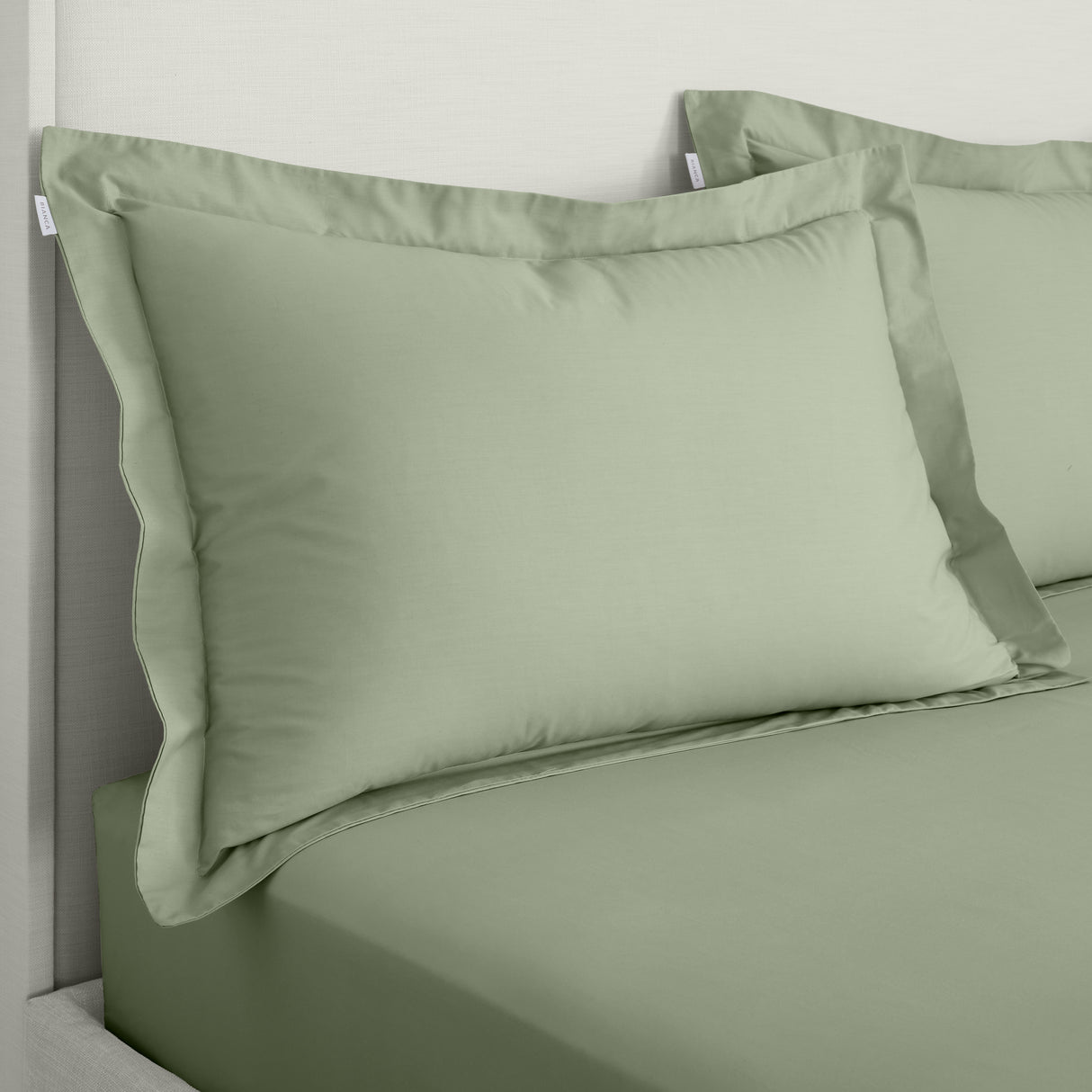 Bianca 200 Thread Count 100% Cotton Percale Sage Sheets