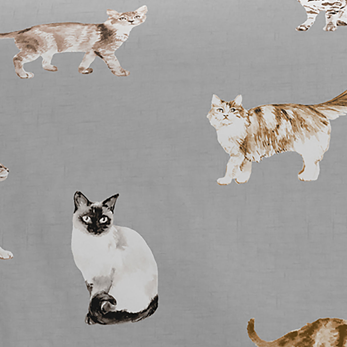Fusion Bedding Cats Grey Duvet Set