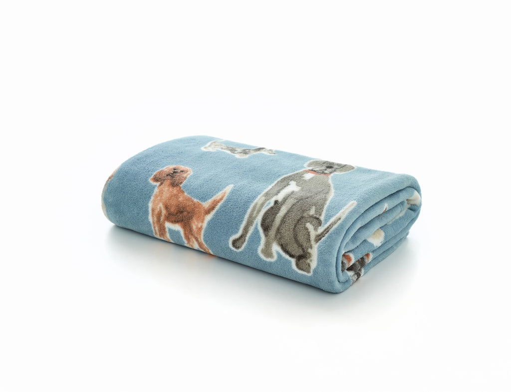 Deyongs Cozy Comforts Blue 130cm x 170cm Fleece Throws