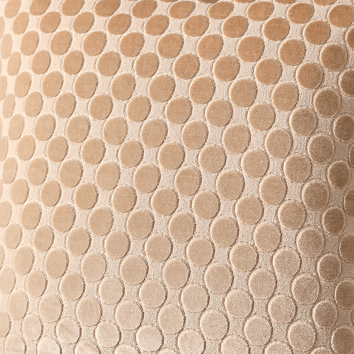 Soiree Velvet Spot 43cm x 43cm Polyester Filled Cushion