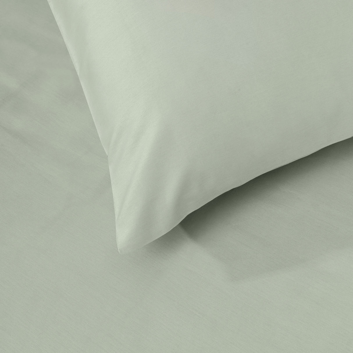Charmed Interiors 100% Cotton 300 Thread Count Sateen Basil Green Sheets