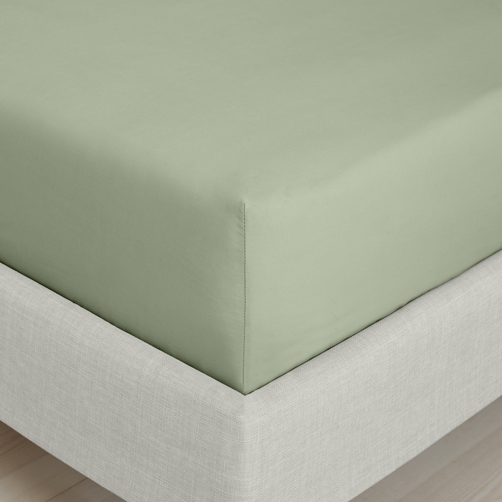 Bianca 200 Thread Count 100% Cotton Percale Sage Sheets