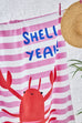 Catherine Lansfield Beach Towels