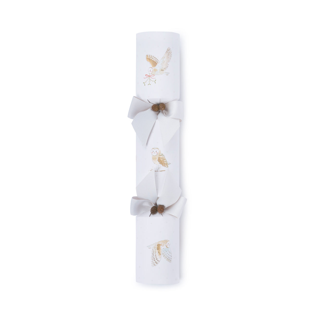 CR12012 Sophie Allport Snowy Owls Christmas Crackers Set of 6