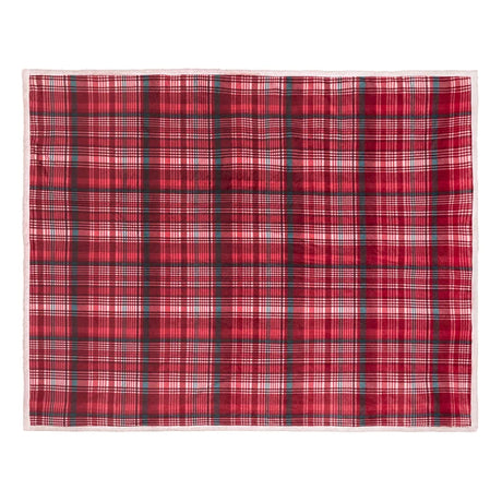Dreams N Drapes Bennet Check 100% Brushed Cotton Duvet Set