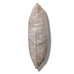 Style Belmont 55cm x 55cm Polyester Filled Cushion