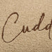 Fusion Cuddle Up Natural 30cm x 50cm Polyester Filled Cushion