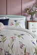 Laura Ashley Hawling Irises Grape Purple Duvet Set