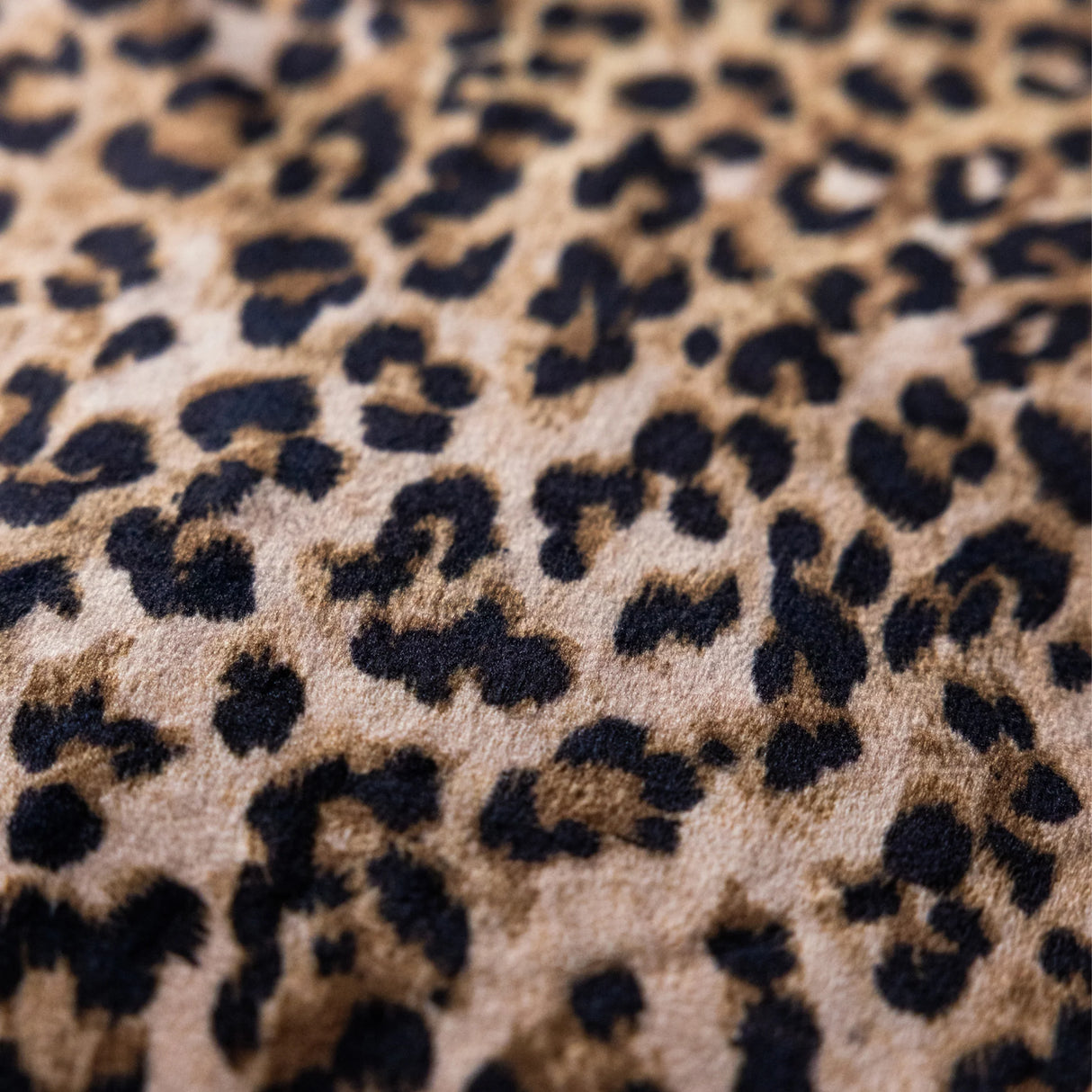 Rockett St George Leopard Love Black 125cm x 150 Throw
