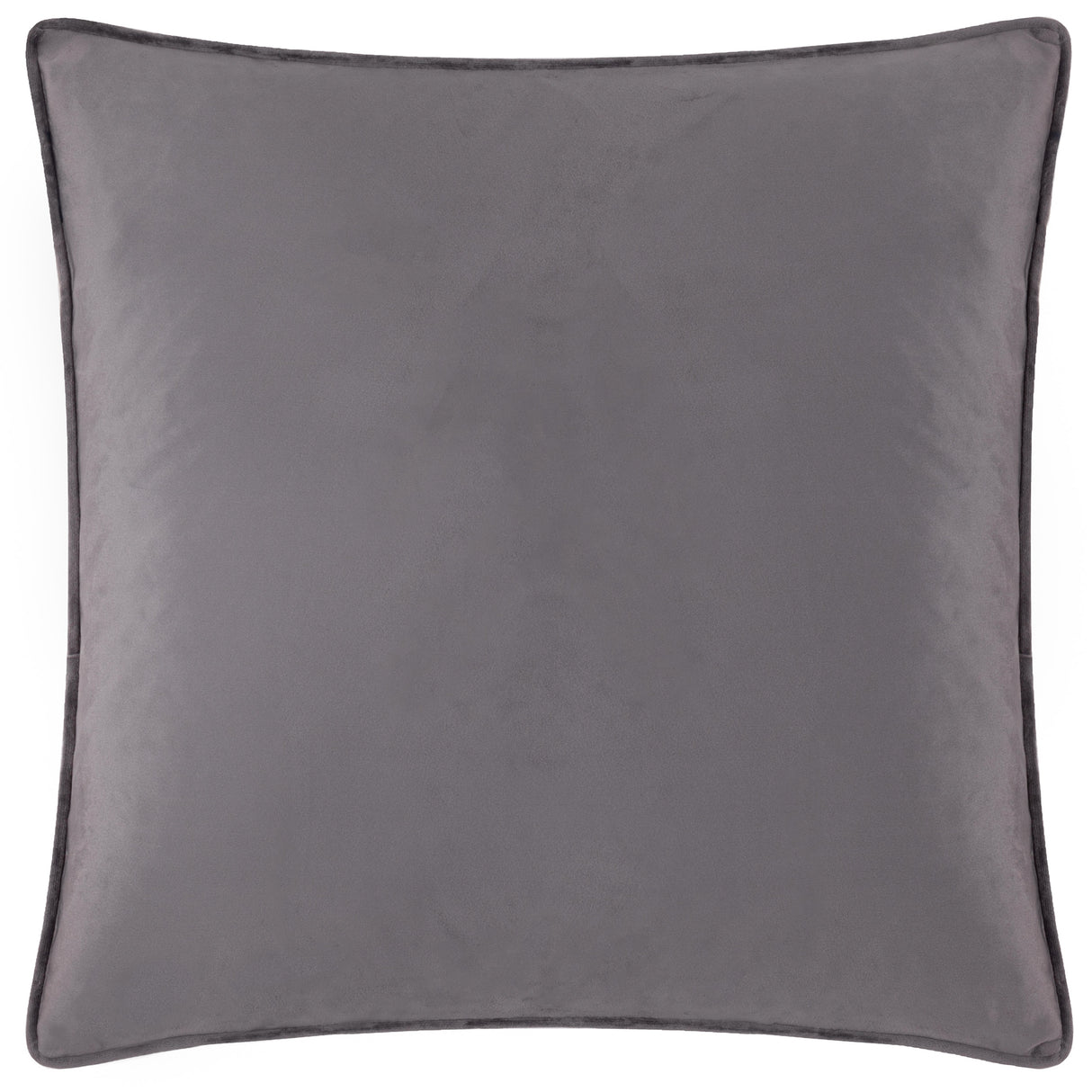 Paoletti Moonlit Flight Embroidered Velvet 45cm x 45cm Polyester Filled Cushion