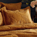 Paoletti Palmeria Quilted Velvet Duvet Set