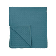 Ted Baker Matelasse Woven Accessories
