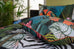 Deyongs 1846 Tropical Zoo Multi Duvet Set