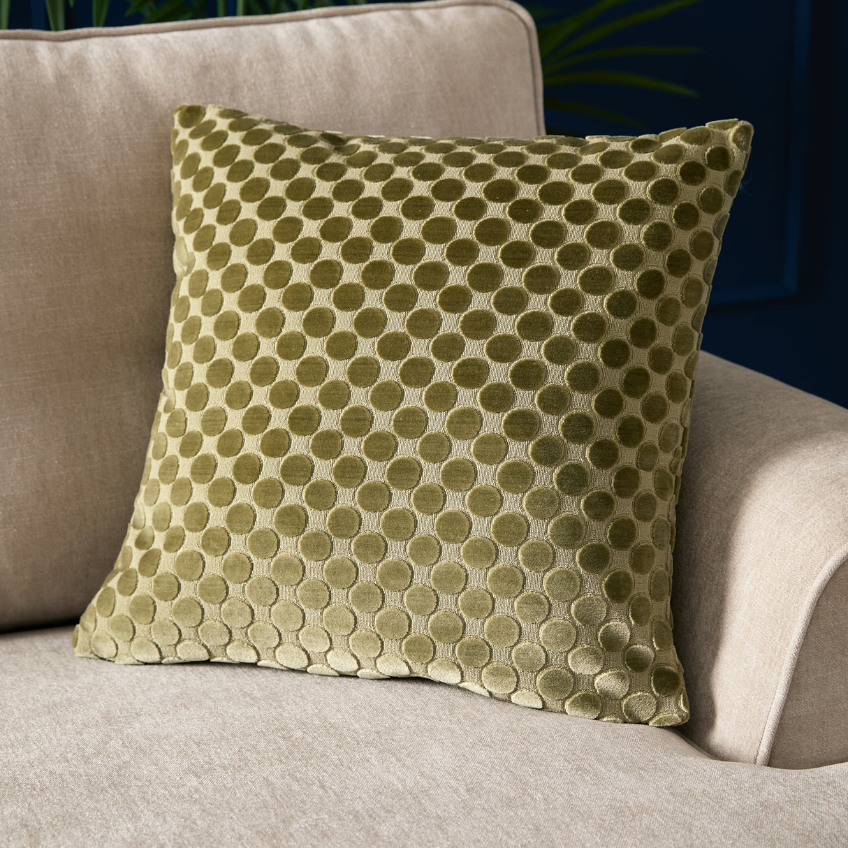 Soiree Velvet Spot 43cm x 43cm Polyester Filled Cushion