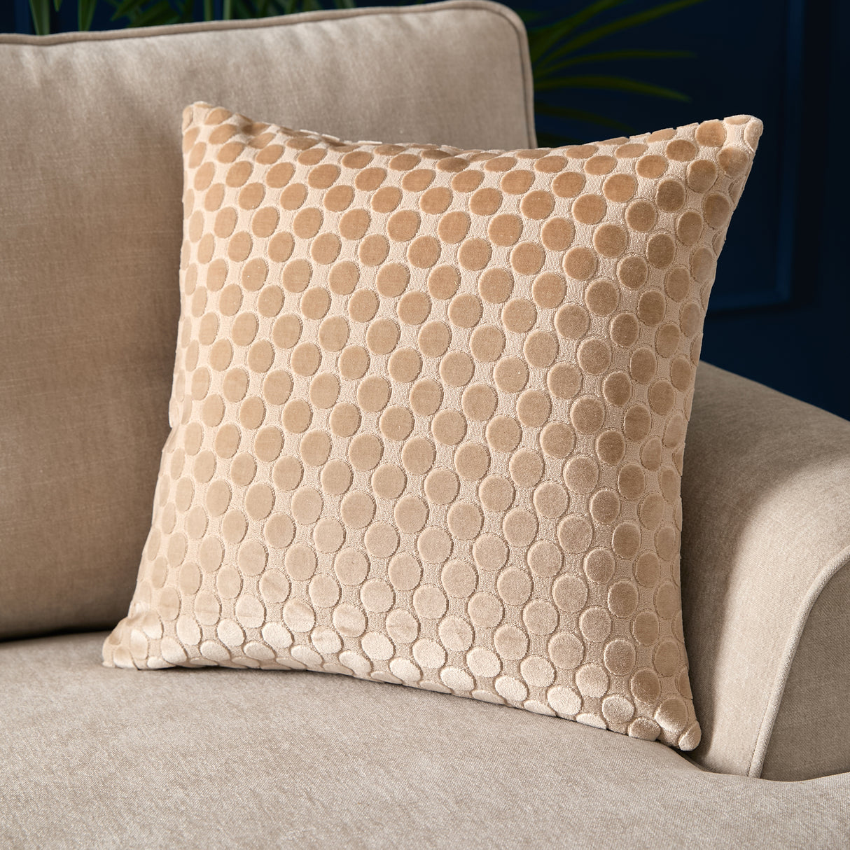 Soiree Velvet Spot 43cm x 43cm Polyester Filled Cushion