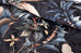 Vantona Boutique Carlotta Multi Duvet Set