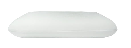 Sleep Easy Aloe Vera Cased Memory Foam Pillow