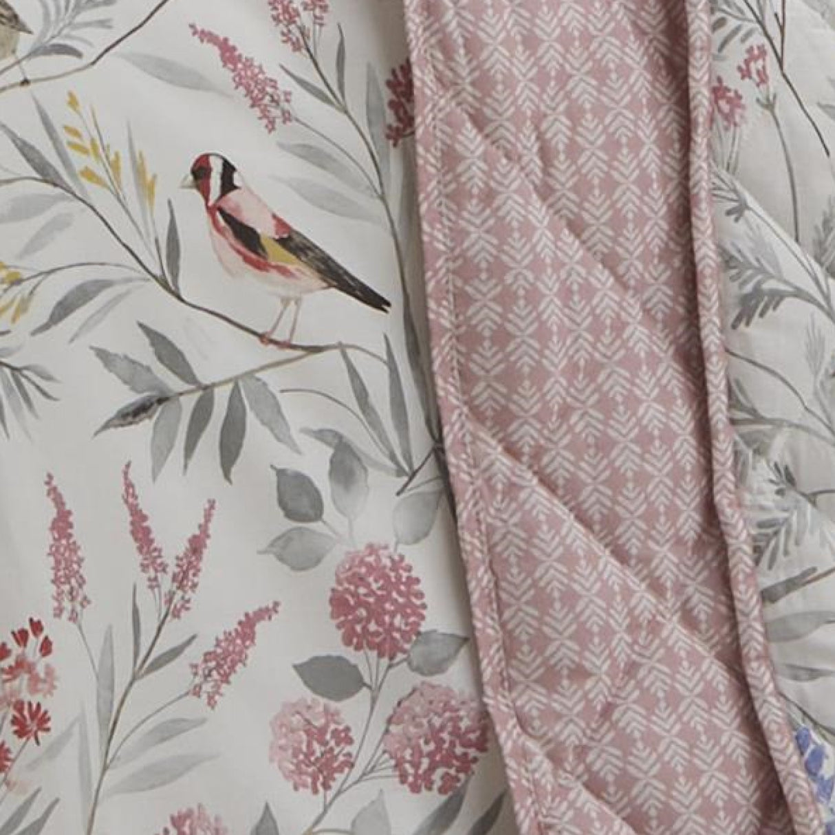 Dreams N Drapes Caraway Pink Bedding